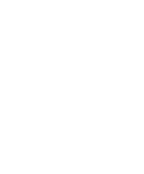 Pinned Up 77 logo